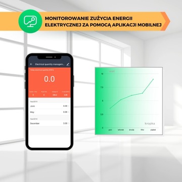 Умная WIFI-розетка NOUS A1 3680 Вт, 2 шт.