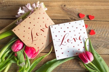 Футляр для компакт-диска и DVD ЛЮБОВЬ, белая папка-конверт, День святого Валентина, свадьба влюбленных