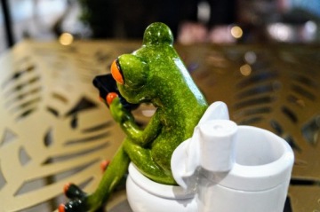 ФИГУРА ЛЯГУШКИ В ТУАЛЕТЕ СО СМАРТФОНОМ ВАННАЯ КОМНАТА