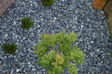 ГАЛЬКА ЗЕЛЕНАЯ ЧЕРНАЯ САДОВЫЙ КАМЕНЬ 2-4 10кг