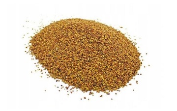 Lucerna Siewna Łąka Nasiona Pasza KWALIFIKOWANA1KG