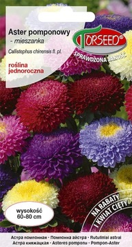 Aster wysoki pomponowy mieszanka 1g nasiona Torseed