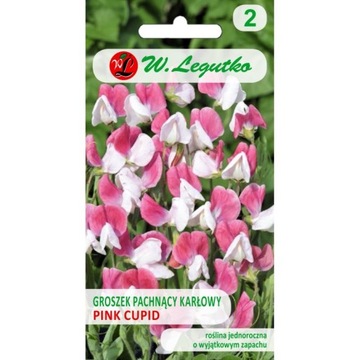 Nasiona warzywa ozdobne Pink cupid 3 g
