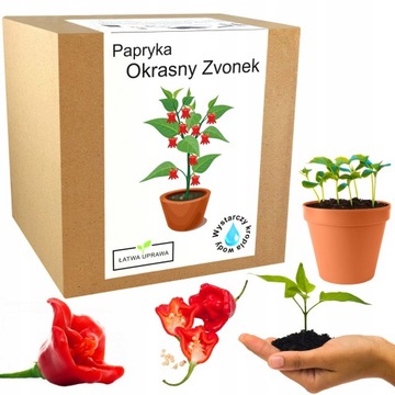 Zestaw do Uprawy ozdobna papryka Okrasny Zvonek