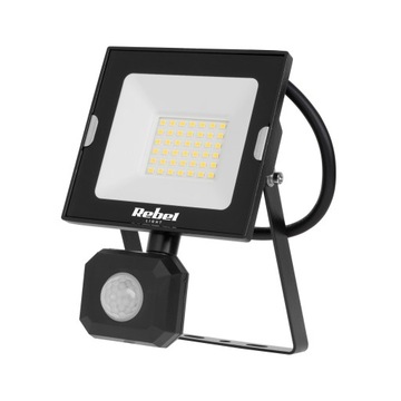 Naświetlacz Reflektor LED 30W z sensorem ruchu i zmierzchu, 4000K, 230V