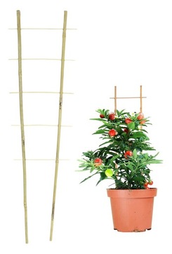 Drabinka Bambusowa Podpora do Kwiatów Roślin 75cm