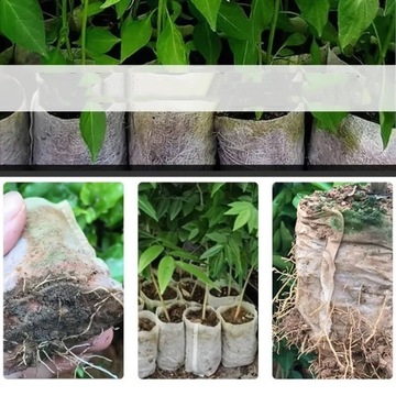 СУМКИ БИОРАЗЛАГАЕМЫЕ МЕШКИ ДЛЯ РАСТЕНИЙ 8х10см 300 ШТ.