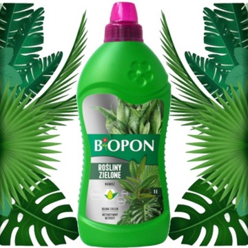 BIOPON NAWÓZ ODŻYWKA PŁYN DO ROŚLIN ZIELONYCH 1L