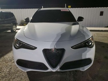 Alfa Romeo Stelvio 2020 Alfa Romeo Stelvio 2020 2.0l 2.0 Benzyna 280KM, zdjęcie 5