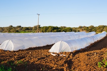 ТКАНЬ ФЛАНЗЕННАЯ АГРО САДОВАЯ ФЛАНЗЕННАЯ 1,1х5М ВЕСНА БЕЛАЯ 17г ПОКРЫТИЕ