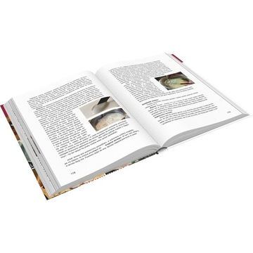 КНИГА С РЕЦЕПТАМИ ШИНКОВАР АРТУР НОВИЦКИ