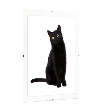 АНТИРАММ 70x100 АНТИРАММ 100x70 ИЗОБРАЖЕНИЕ ПОСТЕР