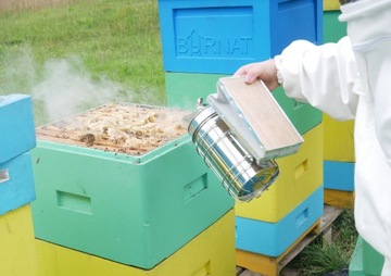 ЖАТКА ПЧЕЛОВОДСТВА ОЦИНКОВАННАЯ 27 СМ