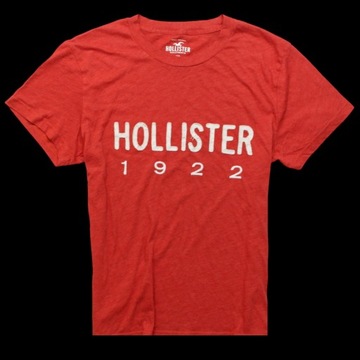 HOLLISTER _ ZNAKOMITA KRÓTKA KOSZULKA Z LOGO _ M/L