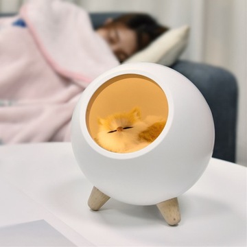 Małe Nocne Światło Kotek ze światłem oświetlanym