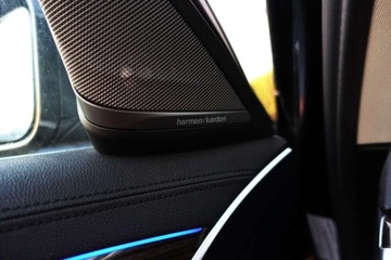 BMW Seria 5 G30-G31 Limuzyna 520d 190KM 2019 BMW Seria 5 Bezwypadek SalonPL xDrive LuxuryLine Tempomat Kamera FV, zdjęcie 31