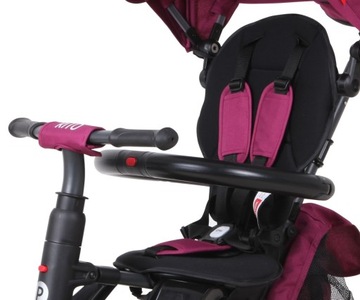 Трехколесный велосипед Qplay Rito Plus Purple