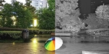 IP-камера Dahua IPC-HDW3849H-AS-PV-0280B-S4 TiOC