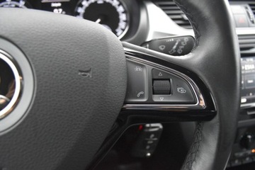 Skoda Rapid II Liftback Facelifting 1.0 TSI 110KM 2017 Skoda RAPID SalonPL 1.0 TSI 110KM AmbitionAudio Klimatyzacja Alu 15 Dealer, zdjęcie 14