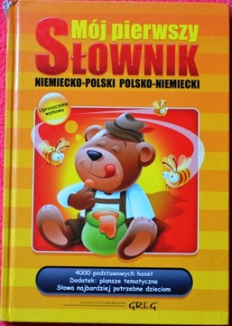 MÓJ PIERWSZY SŁOWNIK N-P I P-N - Adrian Golis