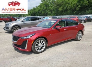 Cadillac 2023 Cadillac CT5 Premium Luxury 2023 3.0l 3.0 Benzyna 335KM