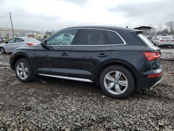Audi Q5 II 2019 Audi Q5 AUDI Q5 PREMIUM PLUS, 2019r., 4x4, 2.0L, zdjęcie 3