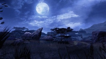 КЛЮЧ UPLAY для Far Cry 2 — Fortune's Edition