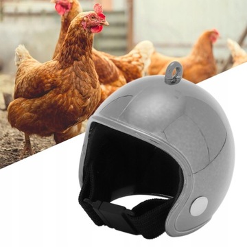 Привлекательный забавный куриный головной убор