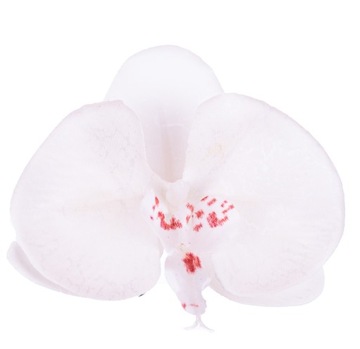 Storczyk orchidea główka kwiatowa ecri do wiązanek