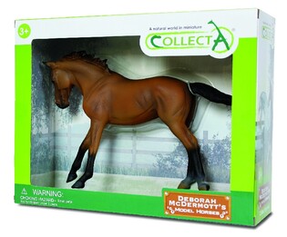 DANTE COLLECTA 89578 KON