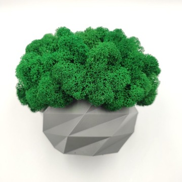 Doniczka z mchem chrobotkiem 18cm MECH CHROBOTEK w doniczce szara druk 3d