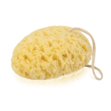 DONEGAL GĄBKA DO MYCIA KROPLA OWALNA