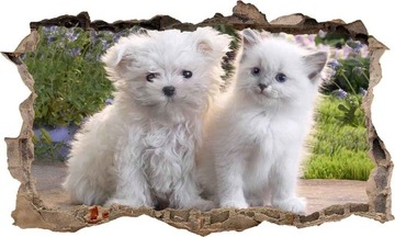 Наклейка Настенный постер Кошка Собака 3D XXXXXXXL