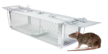 ЖИВОЛОВКА КЛЕТКА ЛОВУШКА ДЛЯ МУЖЧИН КРЫС КРЫС ЛОСОК МНОГОРАЗОВАЯ ЛОВУШКА ЭФФЕКТИВНА