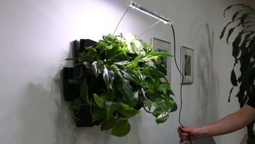 Модуль комплекта гидропоники AQUAEL Versa Garden Plus