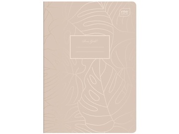 INTERDRUK Zeszyt A5 60 KARTEK Gruba LINIA Metallic