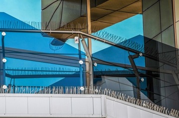 САМЫЕ ТОЛСТЫЕ ПРОЧНЫЕ ШИПЫ ДЛЯ ПТИЦ, НЕРЖАВЕЮЩИЕ ШИПЫ ДЛЯ ГОЛУБИ НЕРЖАВЕЮЩИХ ПРЯМО ИЗ ПОЛЬШИ