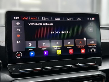 Cupra Formentor Crossover 2.0 TSI 310KM 2022 Cupra Formentor 2.0TSI 310KM 4Drive VZ DSG l Beats, zdjęcie 23