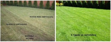 2w1 Aerator i wertykulator elektryczny NAC SCE180-W 40cm dwa wałki 1800W