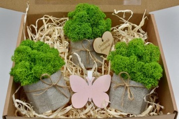 Весенний набор крабовых лесов