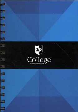 Kołozeszyt Patio college B5 kratka 100 (13826)