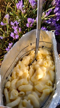 Блюдо сублимированное Лиофилизированная Паста LYOFOOD в сырном соусе 629ккал