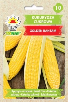 Kukurydza Golden SŁODKA Bantam nasiona kukurydzy jadalnej 20g