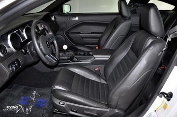 2005-2009 MUSTANG SHELBY GT500 LOKETNÍ OPĚRKA TUNEL CENTRÁLNÍ KŮŽE KOŽENÝ