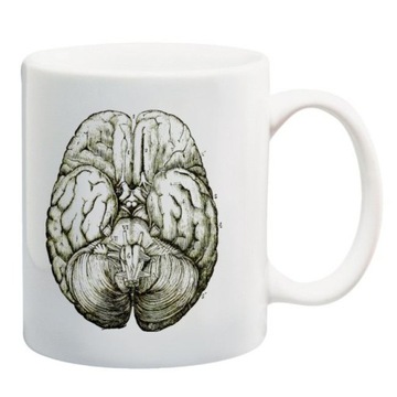 Kubek retro rysunek anatomia mózg medycyna neurolog lekarz szpital