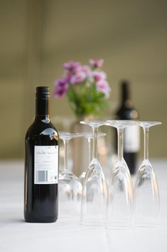 Пятностойкая дорожка для стола с цирконами Glamour 40X80