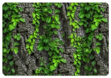 Podkładka prostokątna Bertoni 29x42 cm - Creeper