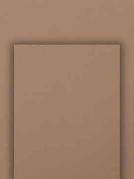 Papier Ozdobny Papier do zaproszeń Do drukarki Camel 300g A4 20szt