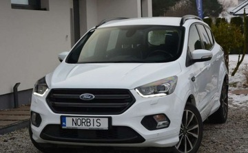 Ford Kuga II SUV Facelifting 2.0 TDCi 180KM 2019 Ford Kuga Ford Kuga 2.0 TDCi 4x4 ST-Line 2.0 Diesel 180KM, zdjęcie 14