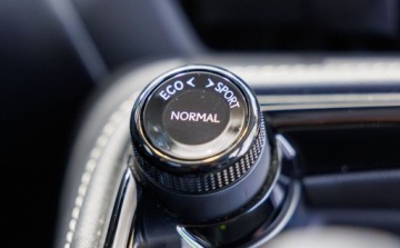 Lexus NX II SUV Facelifting 2.5 450h+ 309KM 2024 Lexus NX 450h Prestige AWD 2.5 Hybryda Plug-in 309KM, zdjęcie 15